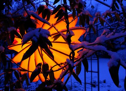Snow lighting garden