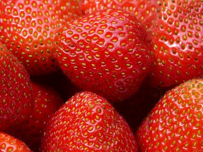 Sweet berries fruit photo