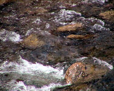 Camp feather river