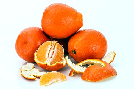 Bark beautiful photo citrus