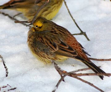 Outside winter snow