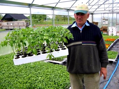 Farmer greenhouse 