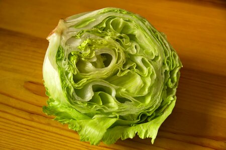 Beautiful Photo cabbage calorie photo