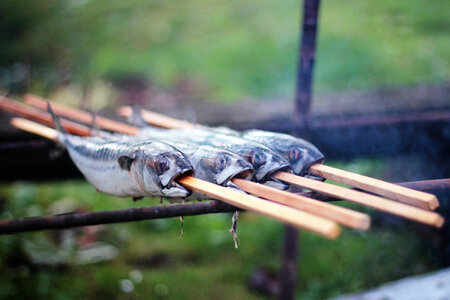Grilling Fish