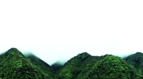 Hills in the Fog, Manoa Valley, Oahu, Hawaii photo