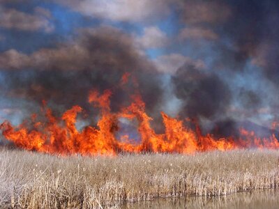 Burning  