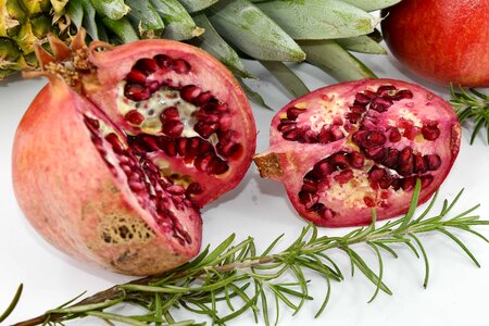 Cross Section kernel pomegranate