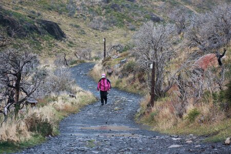 Hiker in Patagonia photo