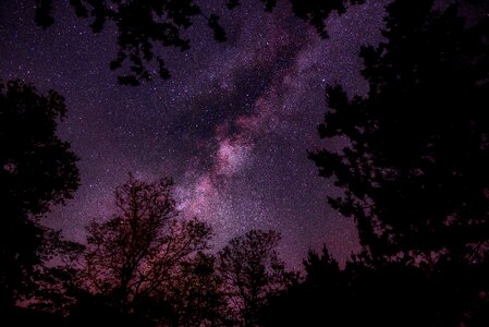 Dark nature night