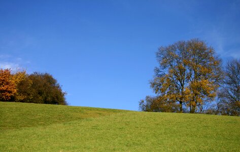 Trees autumn autumn mood photo