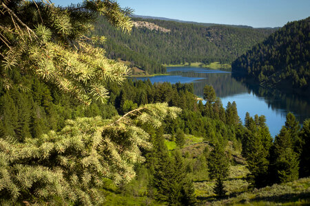 Scenic Lake view in Beaverhead-Deerlodge National Forest photo