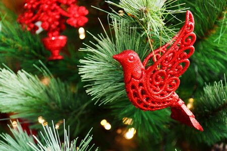 Decor decorate decoration