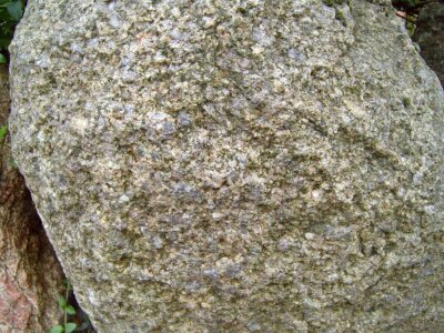Close-Up rock stone photo