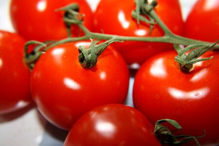 Tomatoes tomato healthy