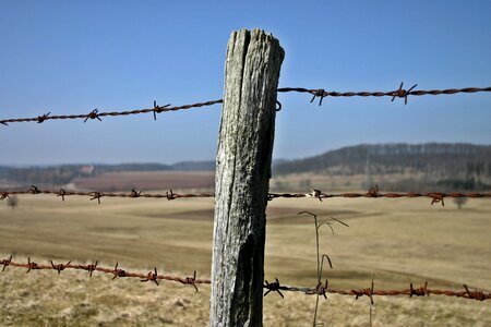 Cattle consecrate pasture fencing photo