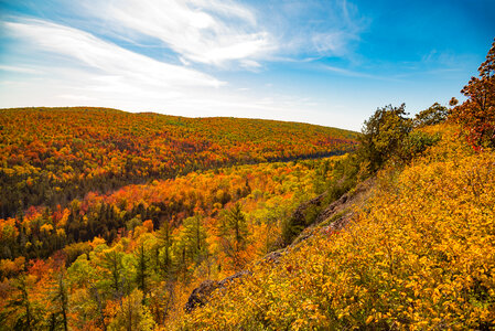 Warm Autumn Colors with sky and treetops photo