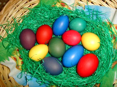 Egg color eat