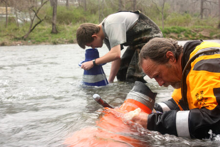 Searching for mussels