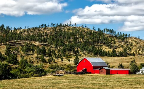 Agriculture barn conifer