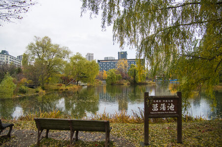 11 Nakajima park