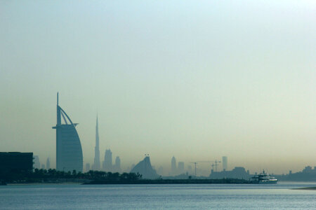 1 Morning view from the palm