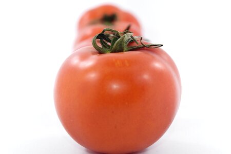 Meal tomato vegan photo