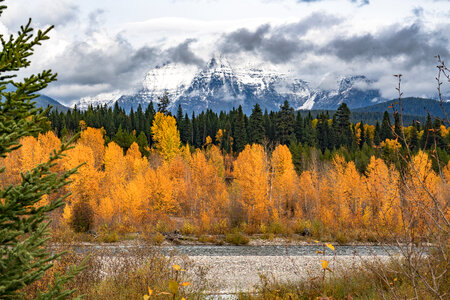 Flathead National Forest in Montana