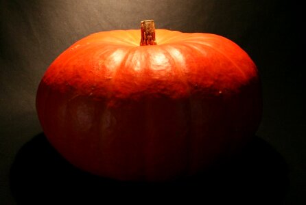 Pumpkin orange halloween