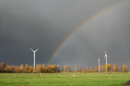 Meadow field energy