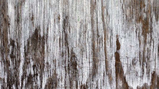 Weathered door plank photo
