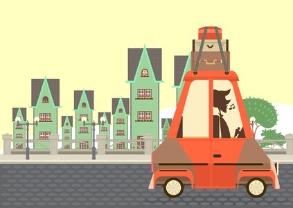 Car bags city