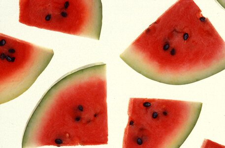 Slices watermelon photo