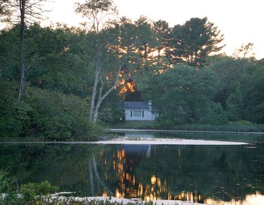 Building forest housing photo