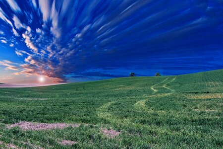 Grass green landscape