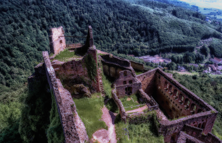 Architecture castle flora