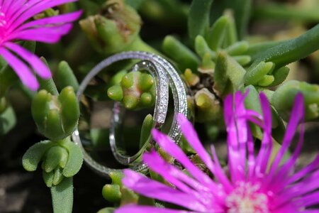 Gold platinum rings