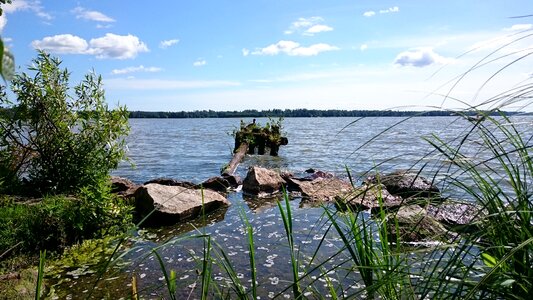 Lake landscape reed photo