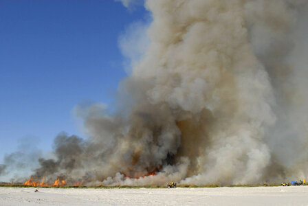 Prescribed burn-4