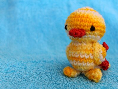 Small animal cute