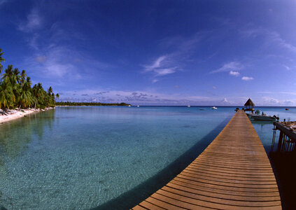 Caribbean sea and wooden platform