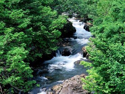 Waterfall with green yard