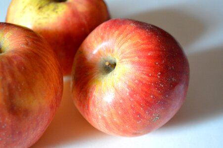 Agriculture apple apples