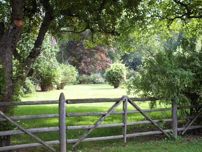 Old rustic field