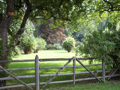 Old rustic field photo