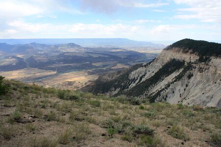 Crops desert habitat photo