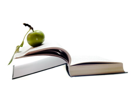 Book and apple photo