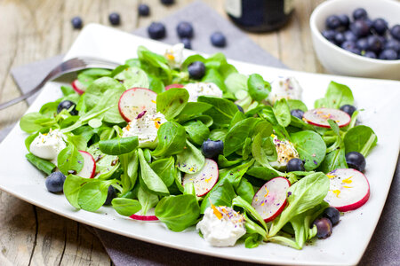 Healthy Salad with Radishes photo