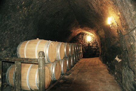 Wine cave ismael arroyo winery