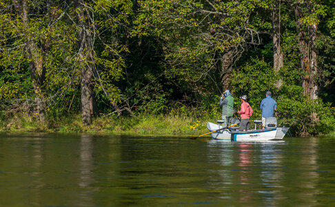 Group fly fishing from drift boat on White River-1