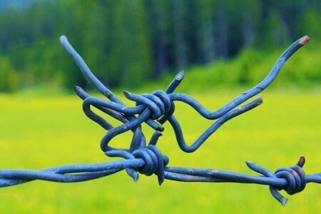 Barbed wire barrier wire